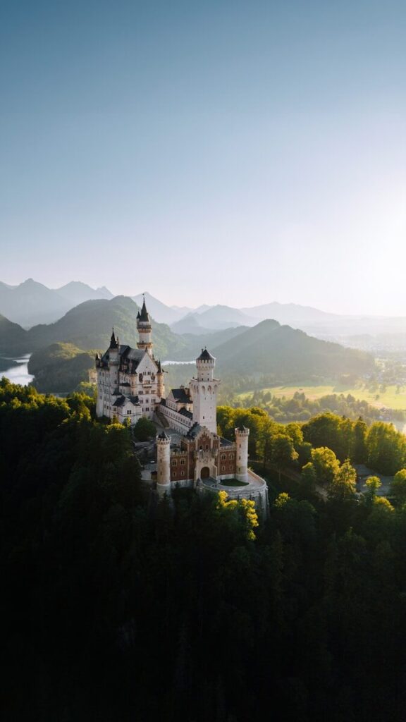 an aerial view of a castle in the middle of a forest